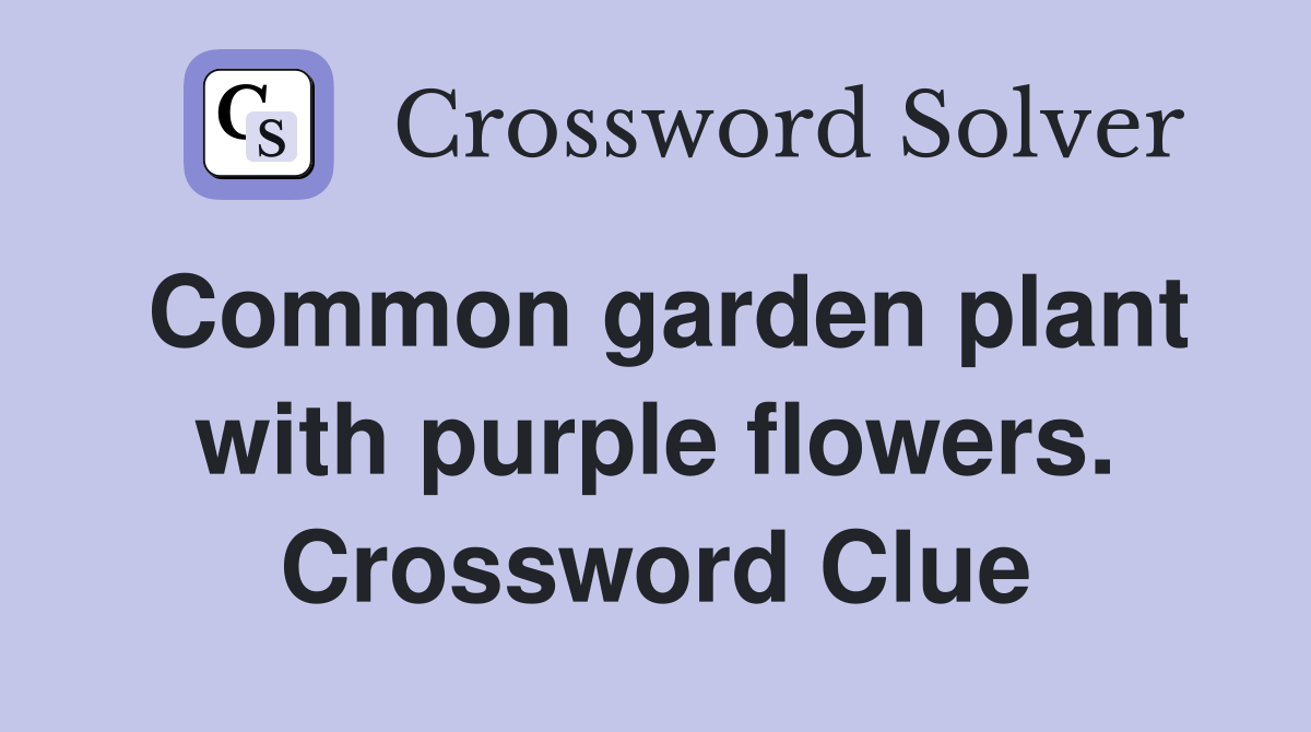 Common garden plant with purple flowers. Crossword Clue Answers